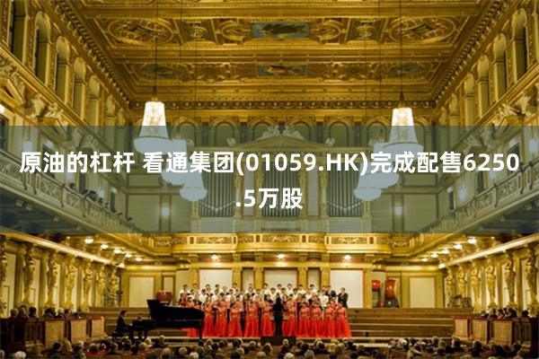 原油的杠杆 看通集团(01059.HK)完成配售6250.5万股