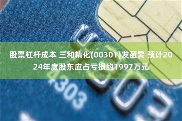 股票杠杆成本 三和精化(00301)发盈警 预计2024年度股东应占亏损约1997万元