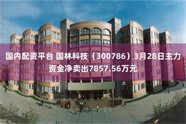 国内配资平台 国林科技（300786）3月28日主力资金净卖出7857.56万元