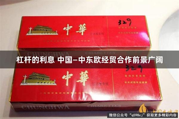 杠杆的利息 中国—中东欧经贸合作前景广阔