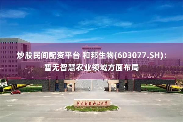 炒股民间配资平台 和邦生物(603077.SH)：暂无智慧农业领域方面布局
