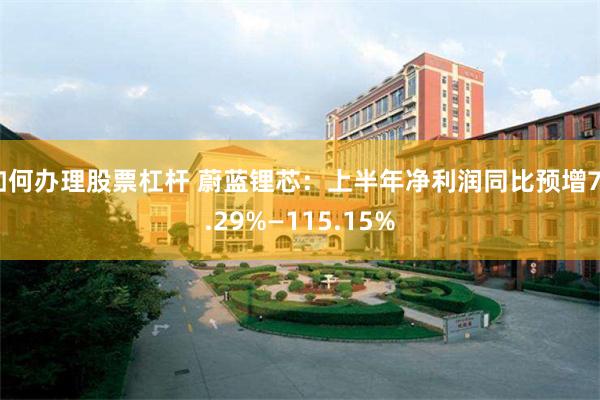 如何办理股票杠杆 蔚蓝锂芯：上半年净利润同比预增79.29%—115.15%
