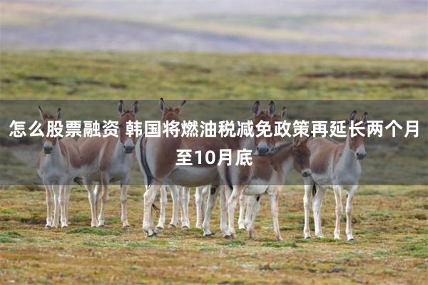 怎么股票融资 韩国将燃油税减免政策再延长两个月至10月底