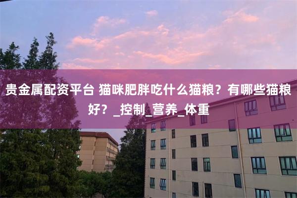 贵金属配资平台 猫咪肥胖吃什么猫粮？有哪些猫粮好？_控制_营养_体重