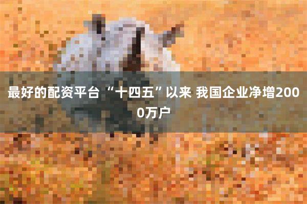 最好的配资平台 “十四五”以来 我国企业净增2000万户